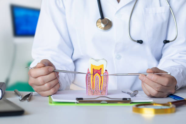 Best Chipped Tooth Repair Near Me  in Greenland, AR